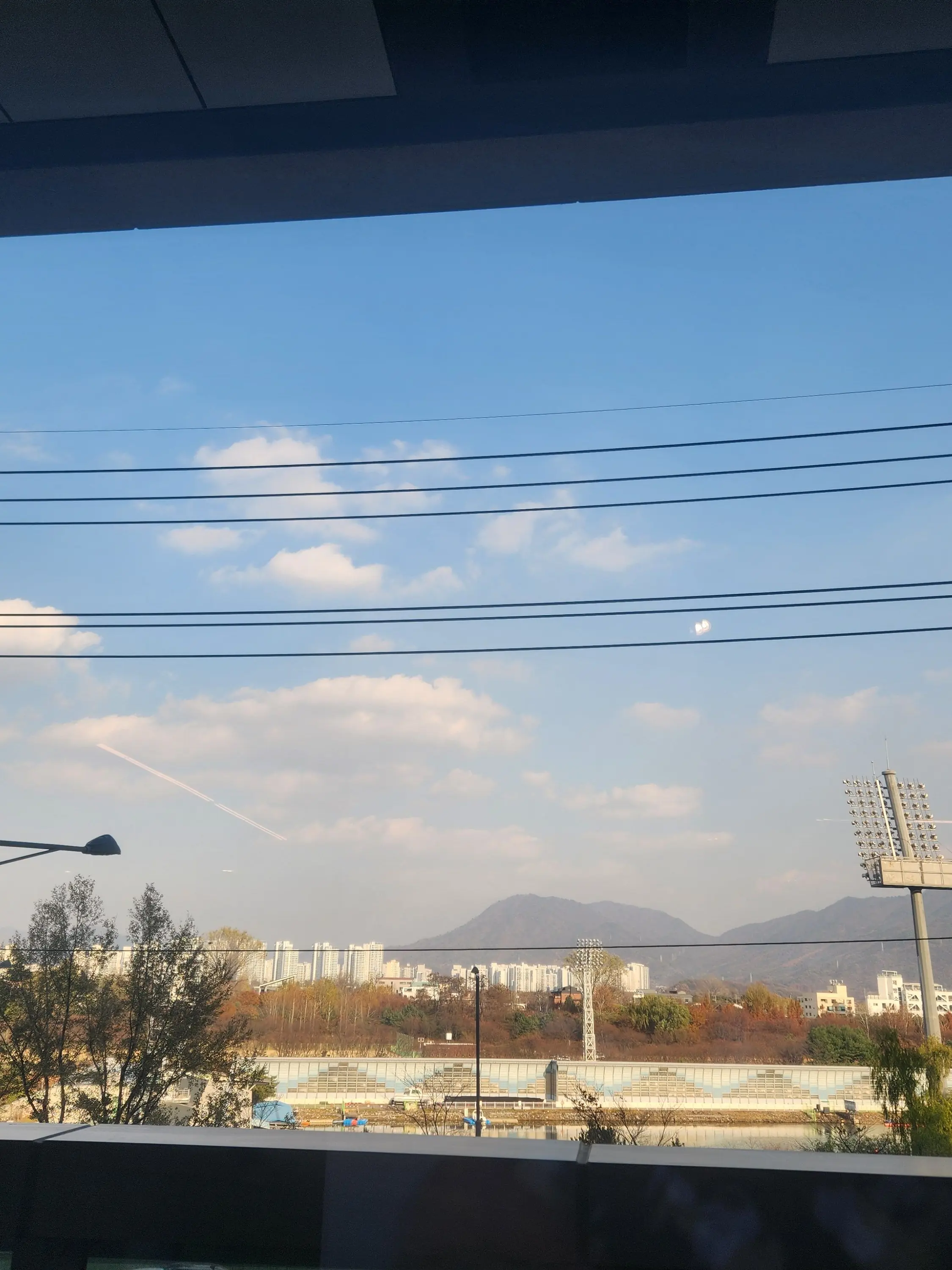 FloralRoot0373의 날수있는 세계관에서 날지못하는 당신