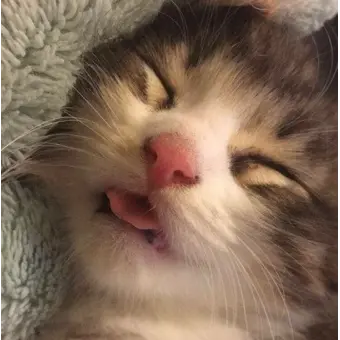 alwaysallyzald1.foever_sang1.의 박원빈