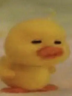 KindModel4422의 백룸