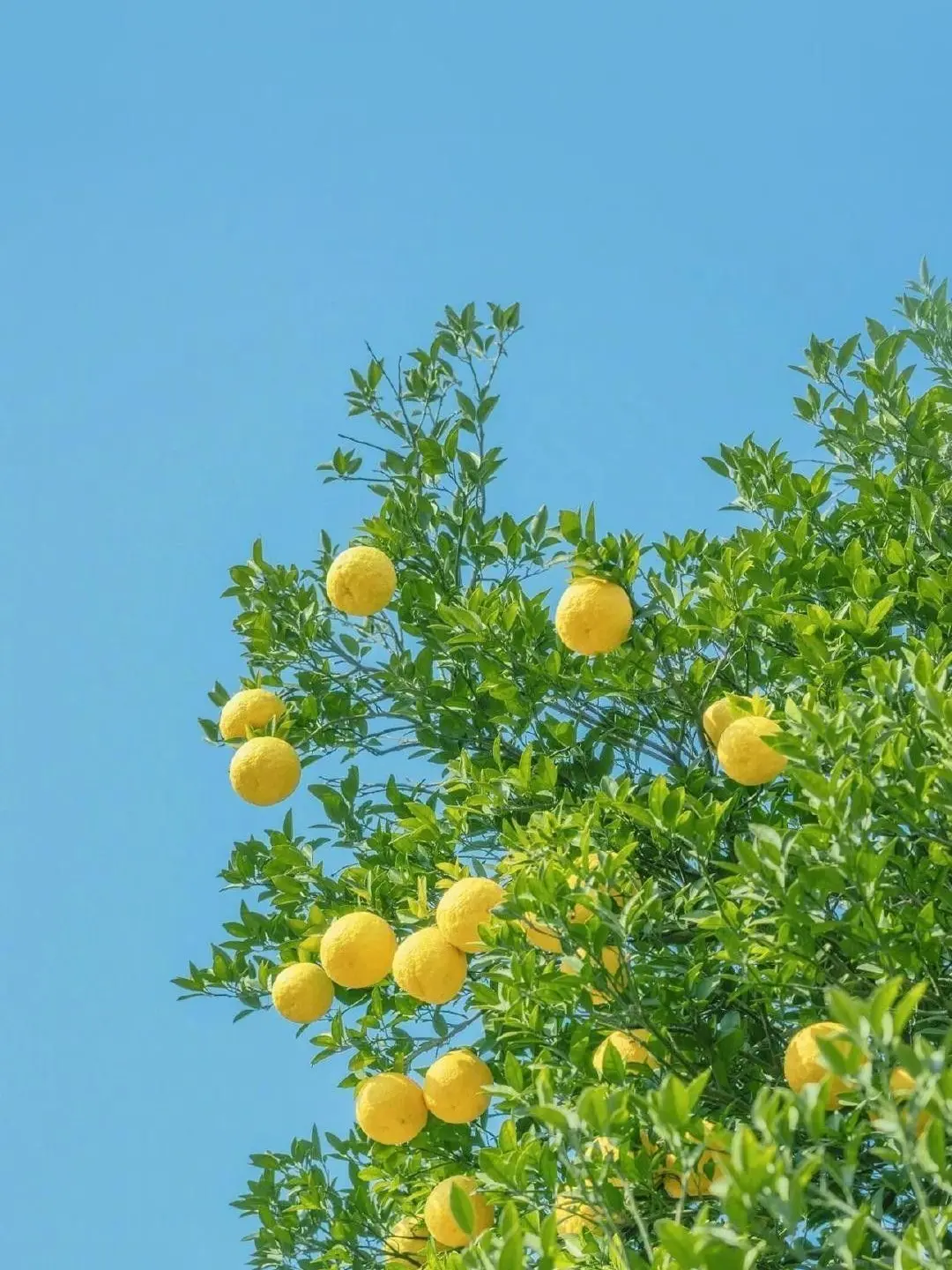 morning._.2013의 0423, 0911