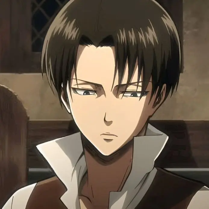 ProneSnack7774의 리바이 아커만