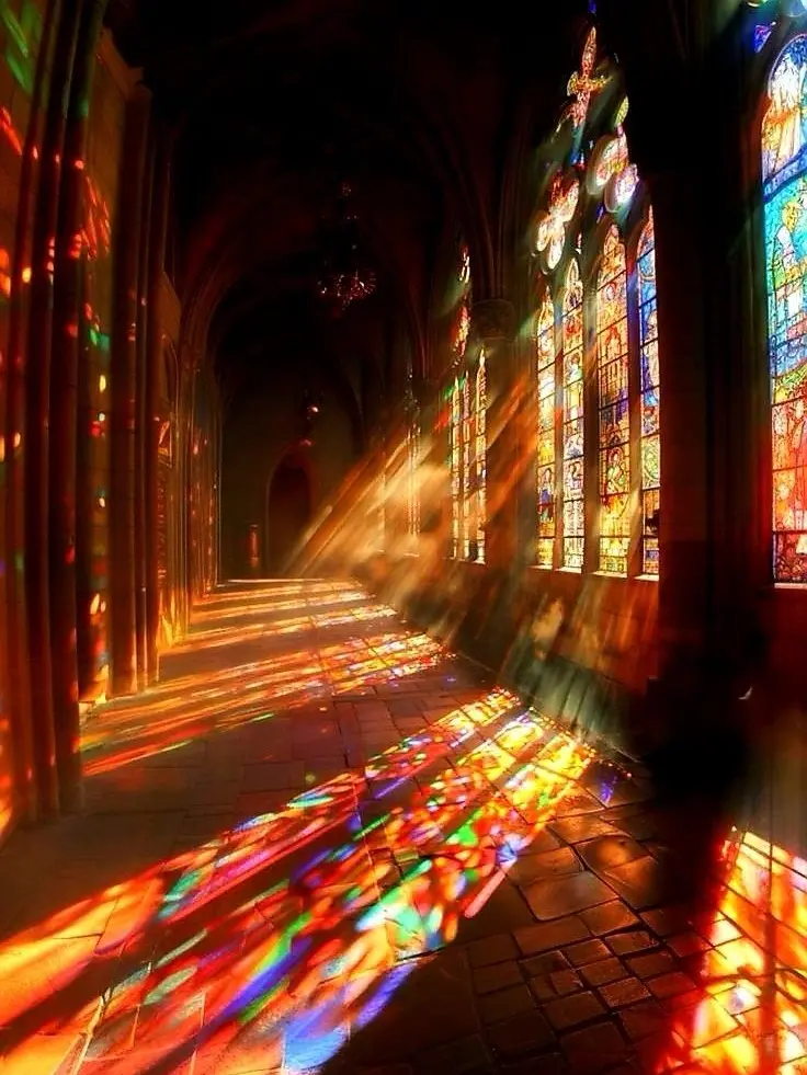 Woowang0722의 뭐가 정답인지 알려줬으면