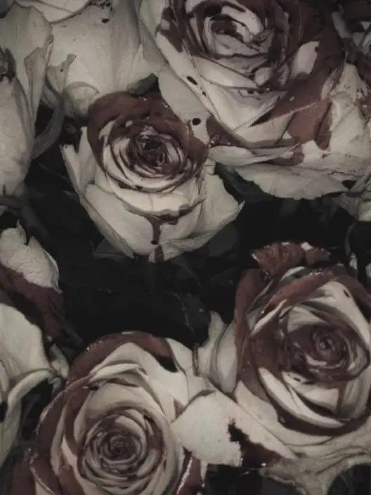 ddangk의 .