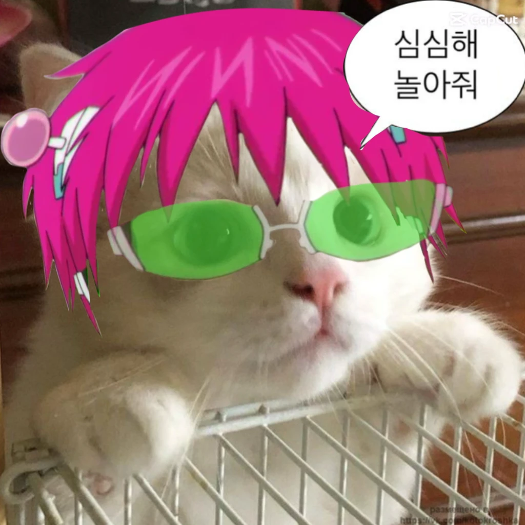 쿠짱