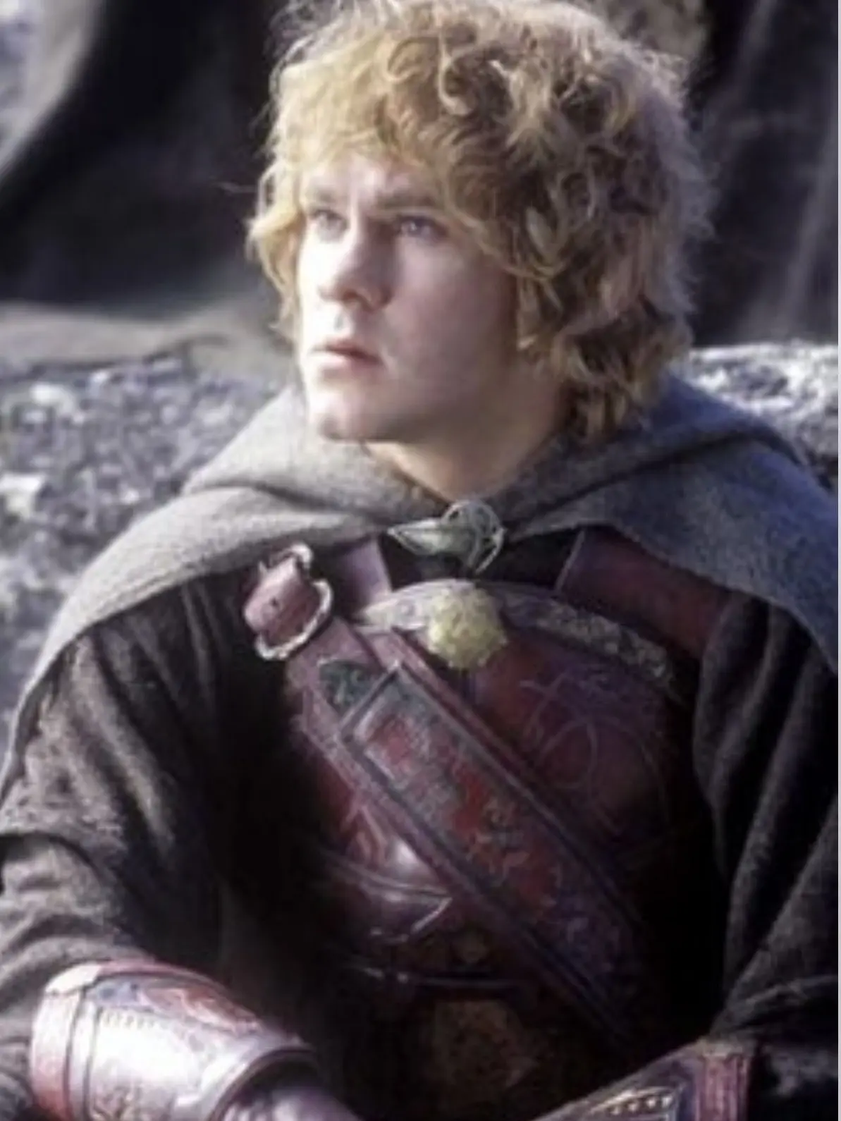 SpikyDouc5906의 Merry Brandybuck