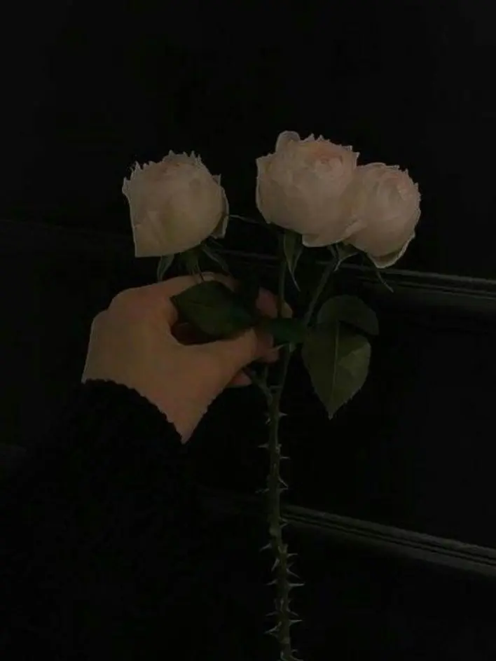 LeanBag7396의 컨휴 학교