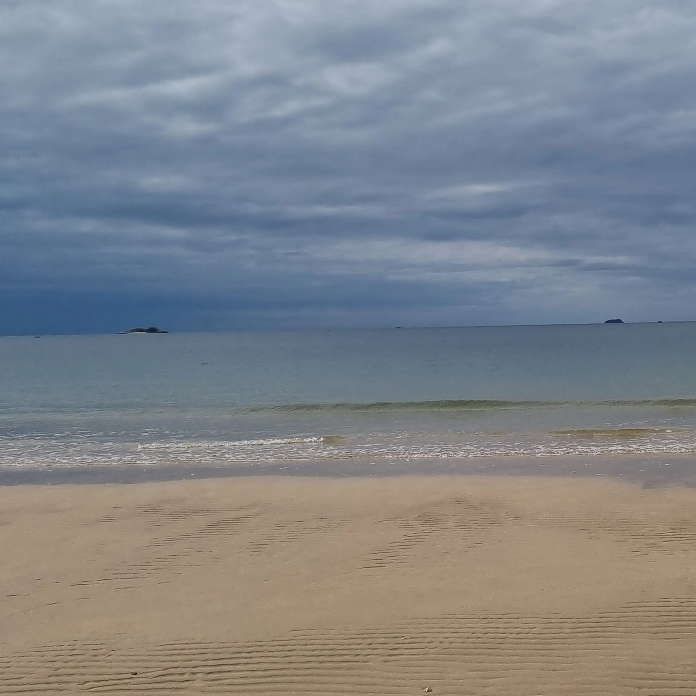 sy4242의 교육관 5인방