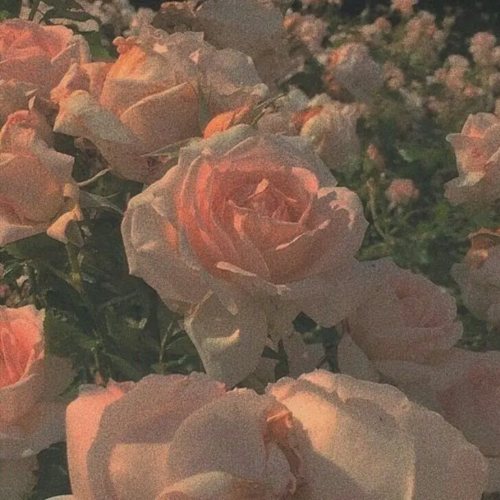 FUBM__FREE의 오메가버스 (1)