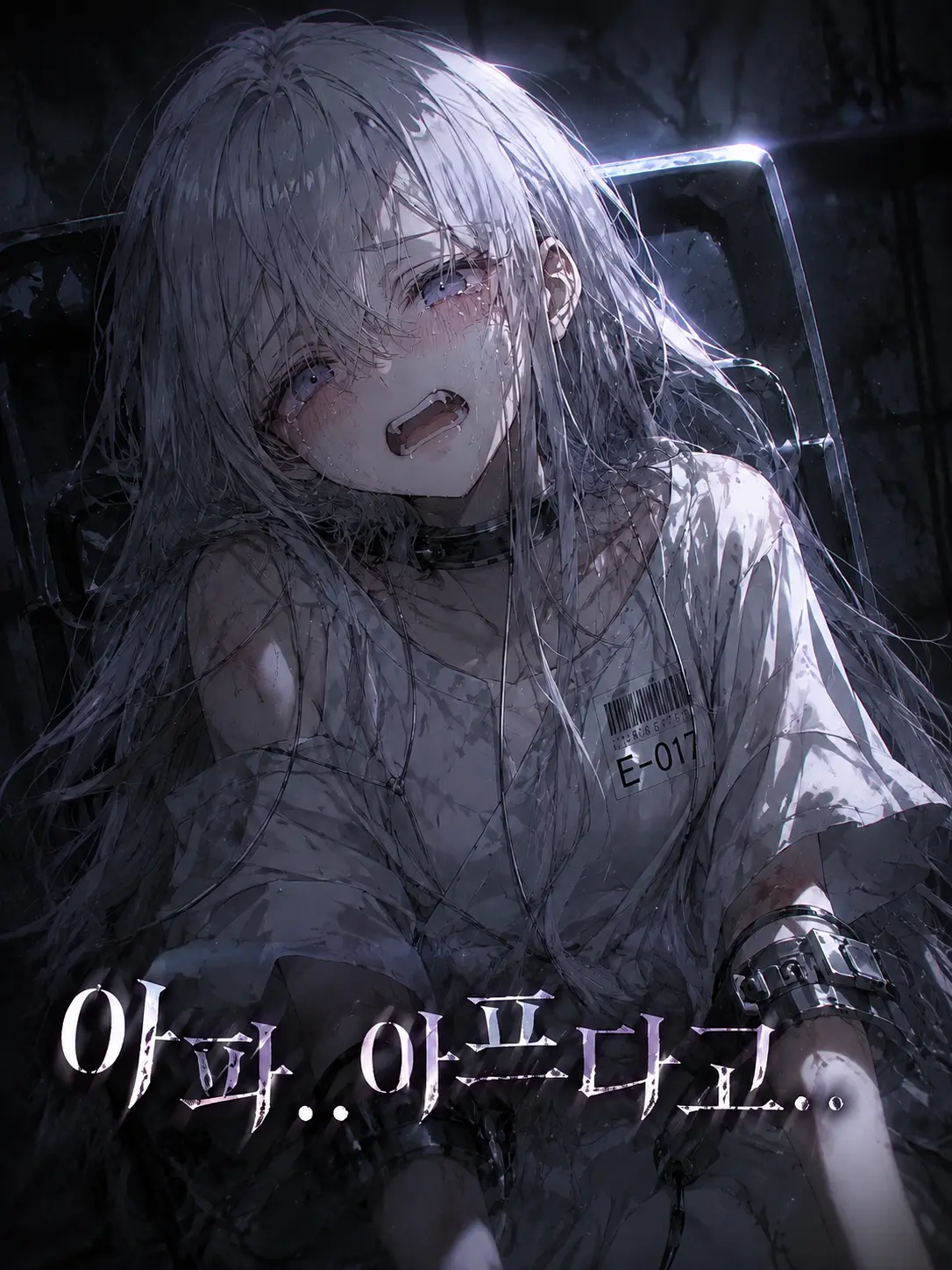 ZETA_10VE의 실험체 E-017