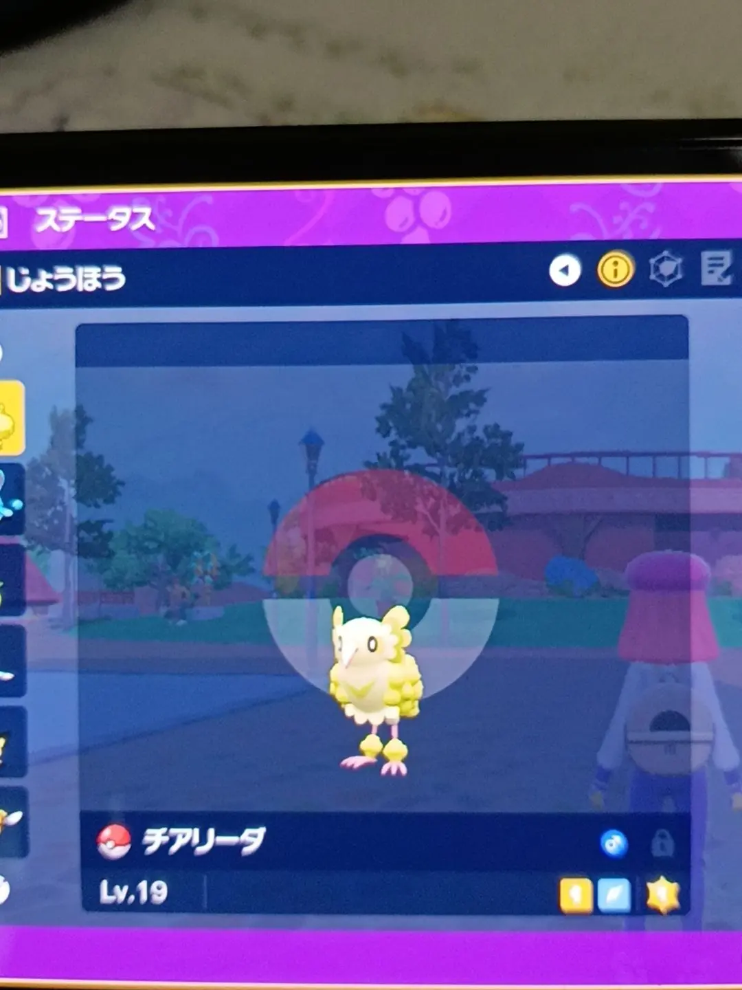 calicocupcakeyipeee의 びっぐきゅーぶ