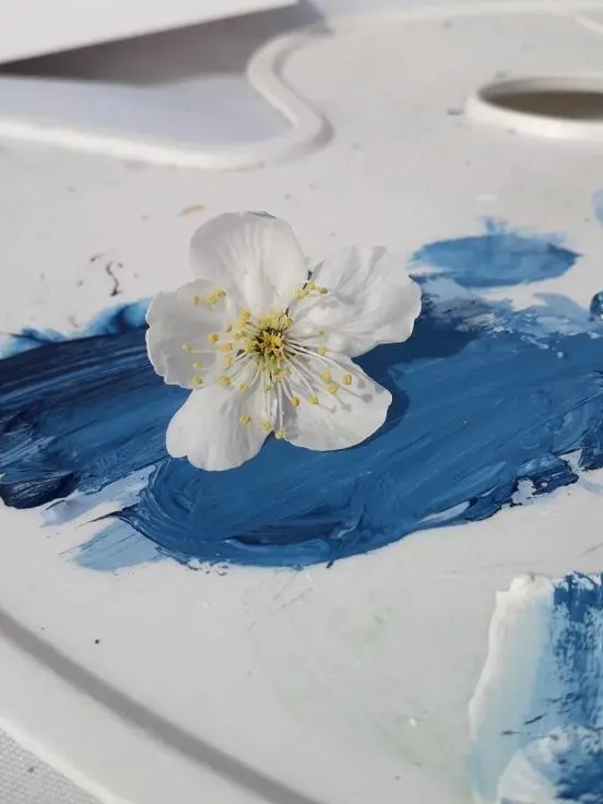 Ux_cu의 동산에서