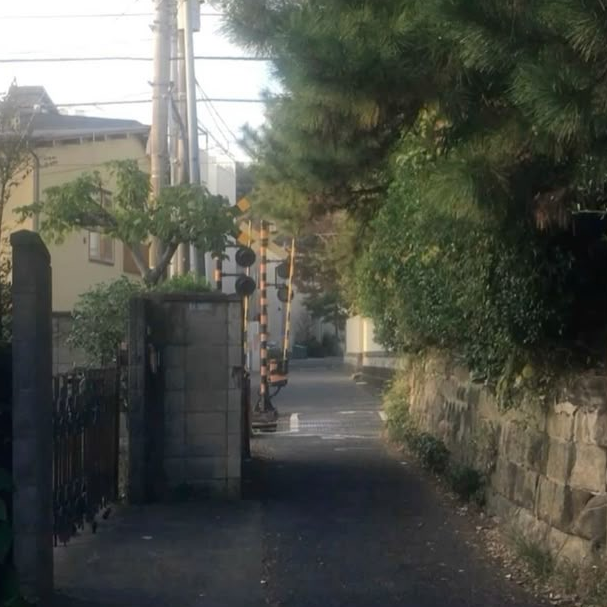 마에다 리쿠 대표 이미지