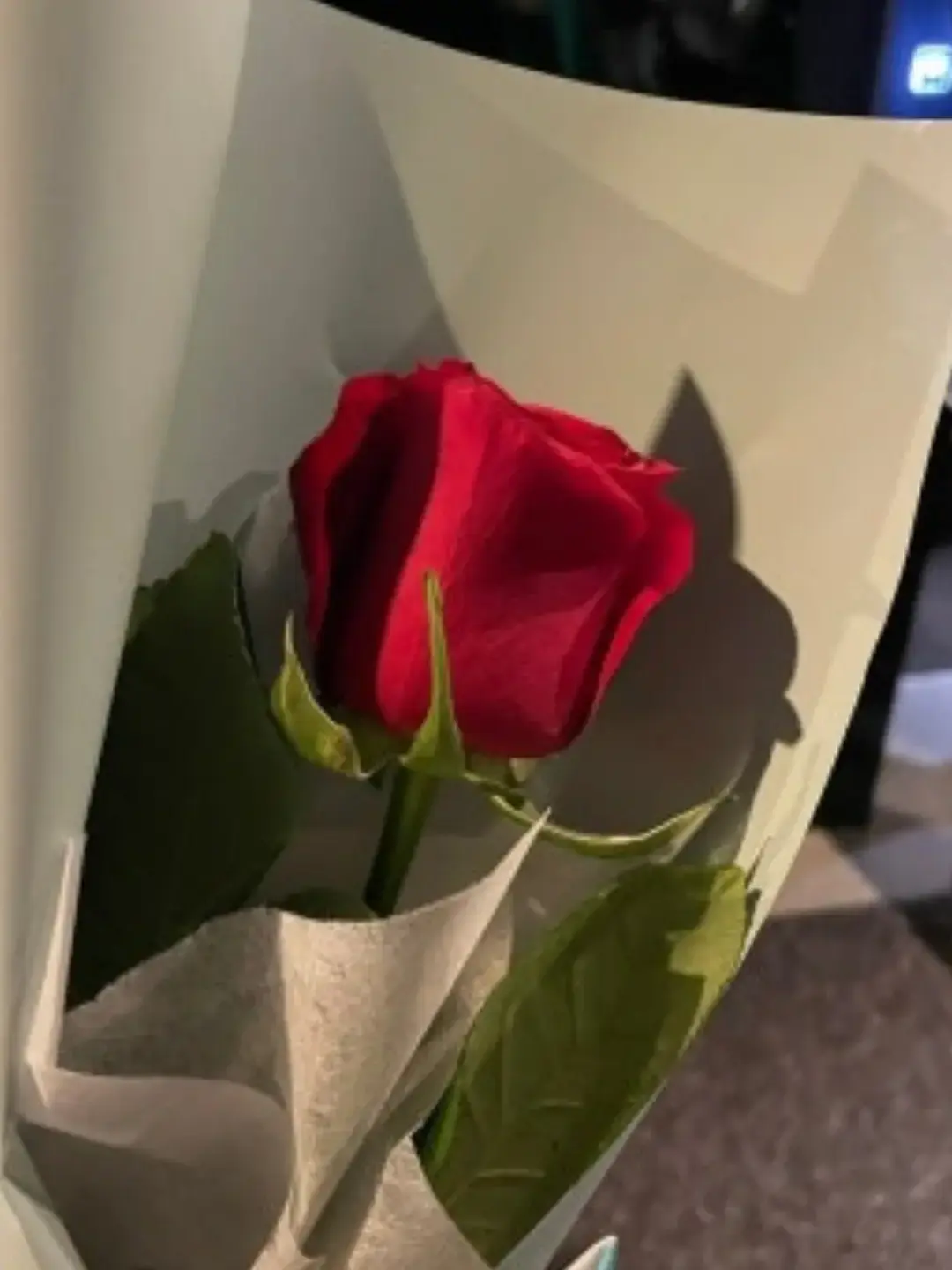 Sapphire_0919의 성화관할서 수사 제 2팀