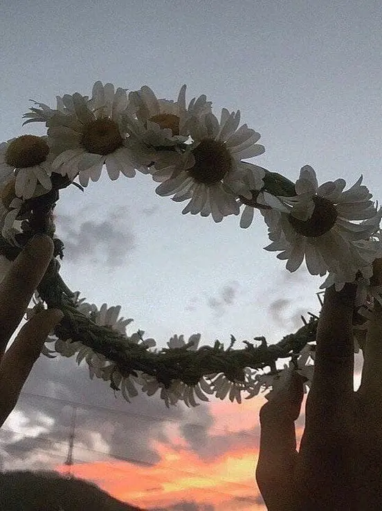 Cyan_XD의 Blooddaisy