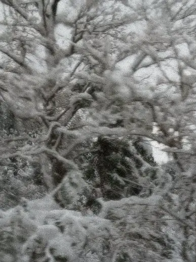 Diomaglaaaaaaa의 めろ男から溺愛されて〜