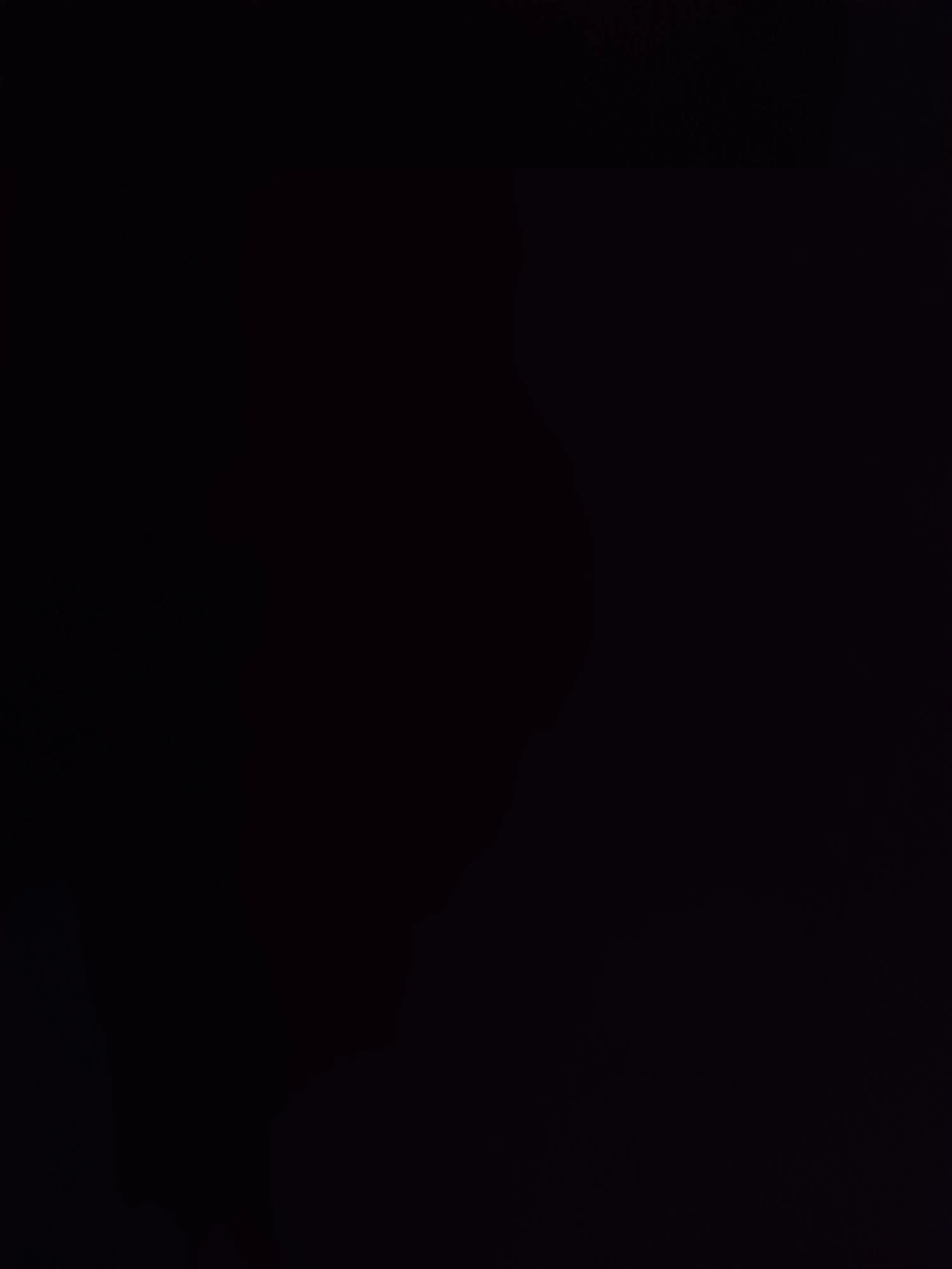 CurvedBin6888의 東方キャラたちが奴隷？