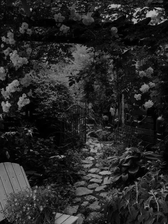 Seeleboyfriend의 개인용