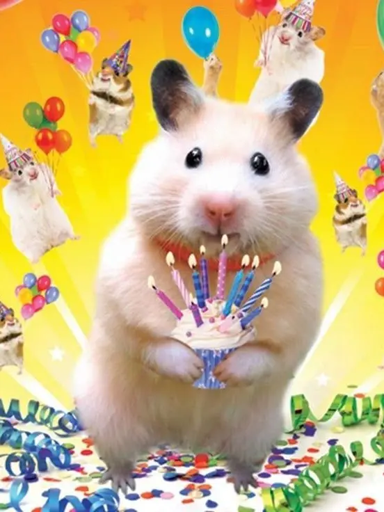 Joy_ful_Elbow1214의 0423