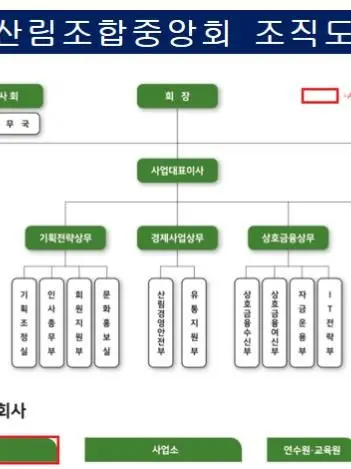 JoYeon의 산림조합중앙회