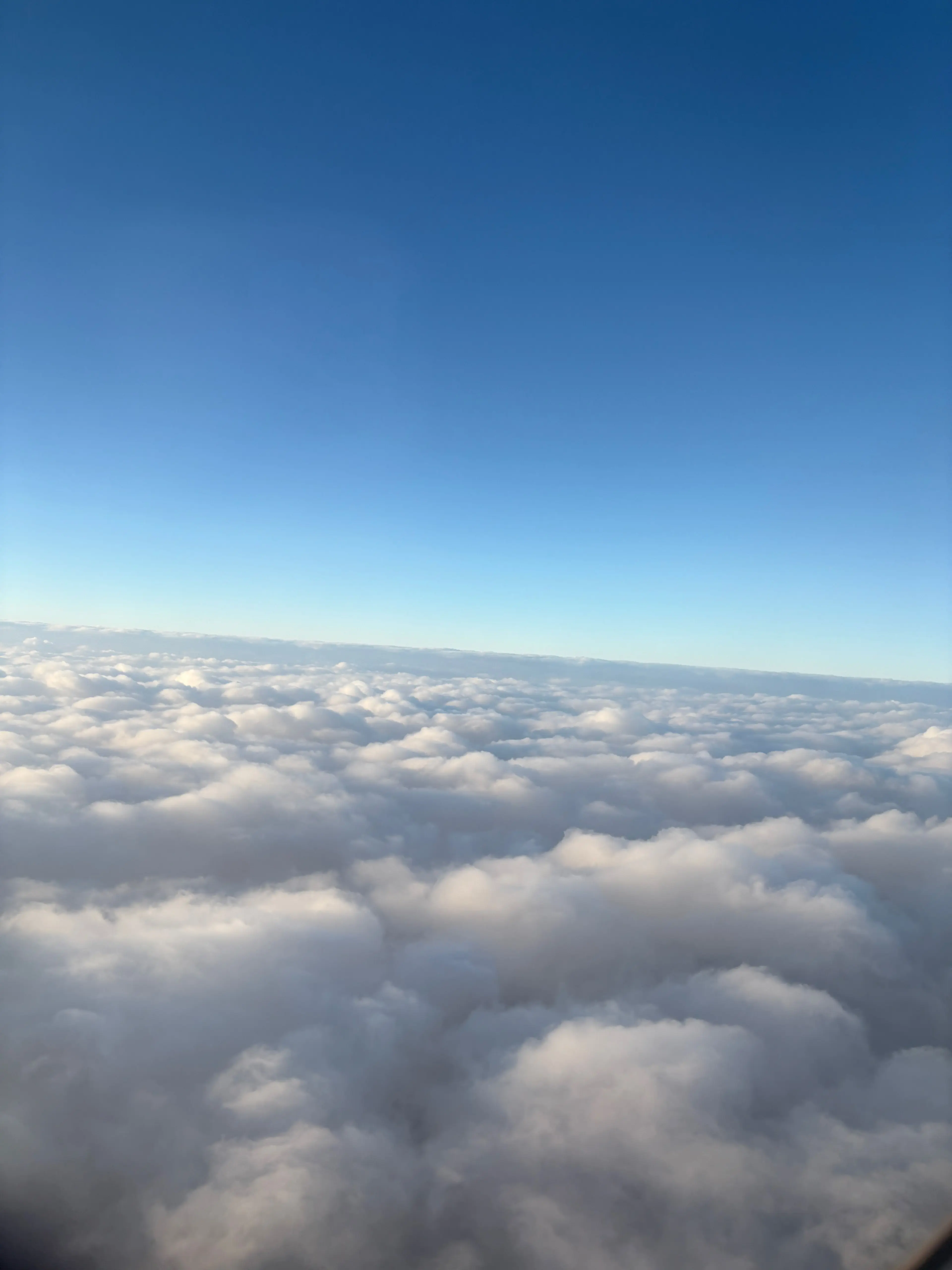 WiryCrib8211의 MJHHH