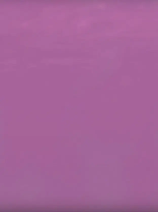 BrightWrist5255의 ツインズの妹ちゃん。