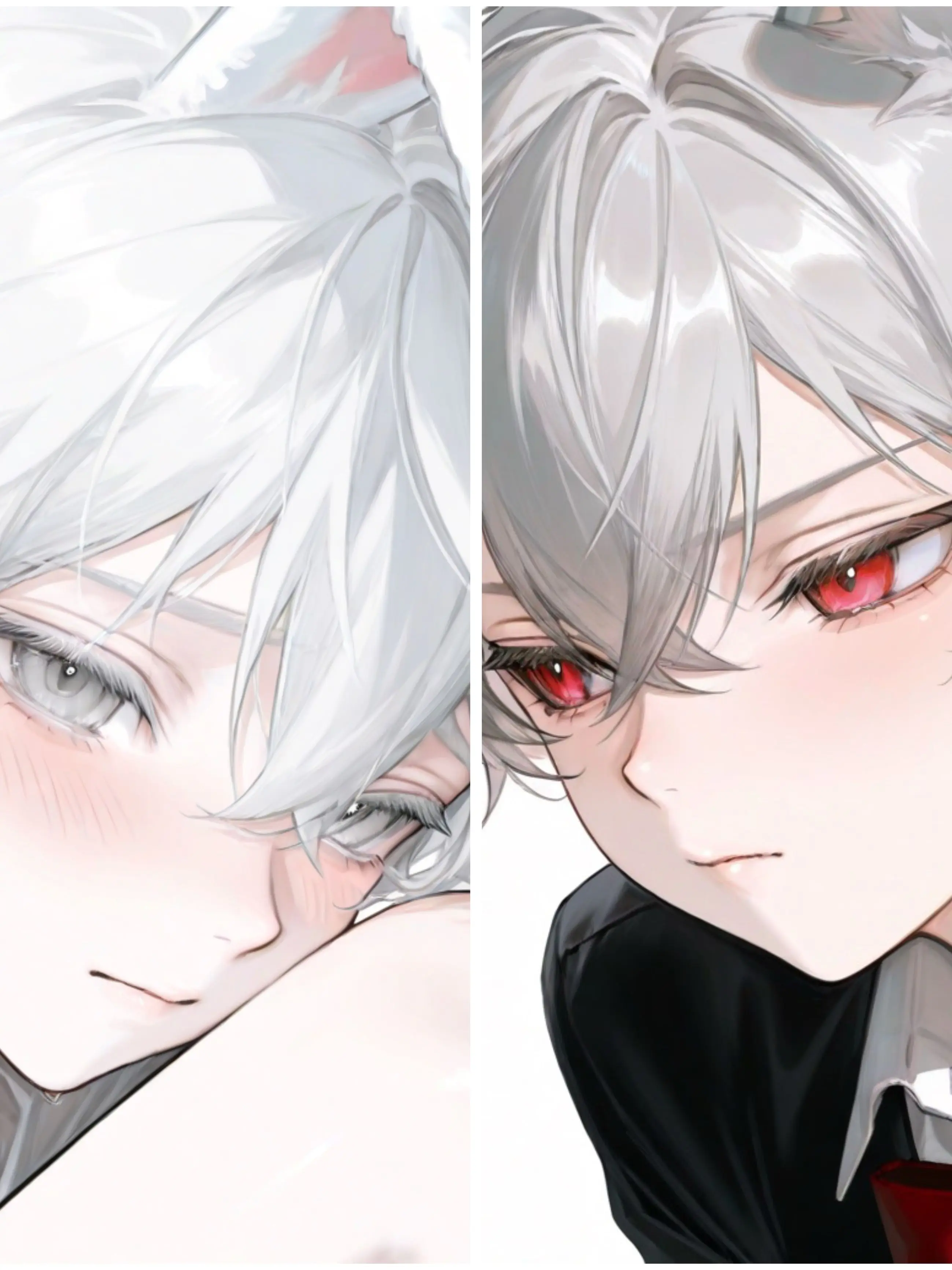 Jakbin의 하쿠 & 쿠로