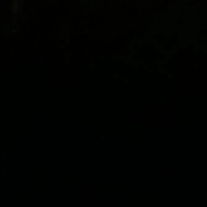 UntidyTank2175의 모아조직