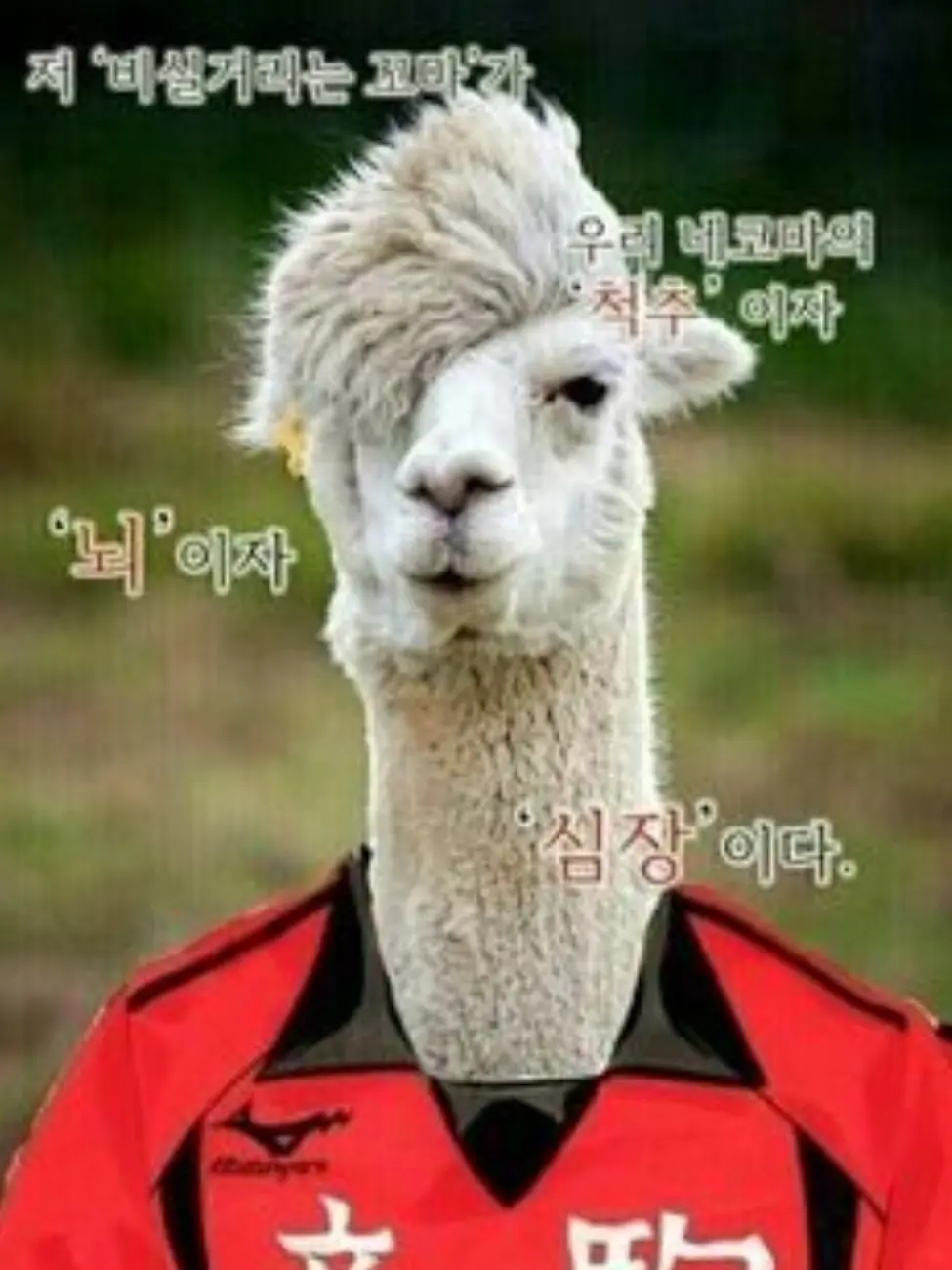 Boku_aka_jongdok_4864의 쿠로오 테츠로