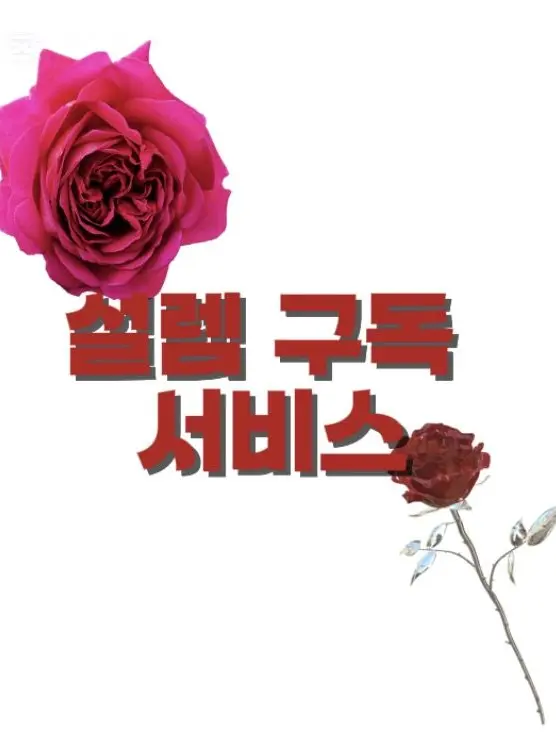 Seebaar의 설렘 구독 서비스?