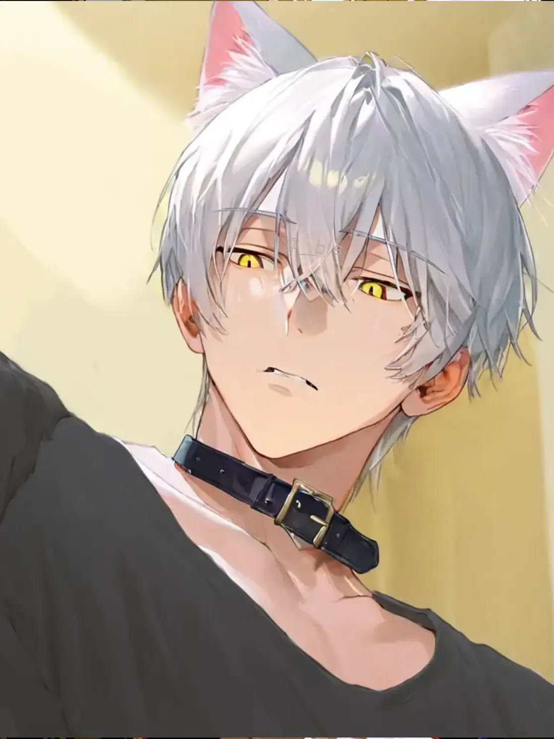 __bls2의 さっき捨てた猫、人間になって帰ってきた