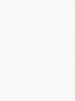 RainyCoast0744의 요정왕국+여우