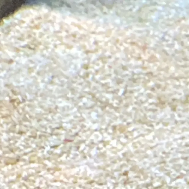 LemonyNail7021의 使用禁止