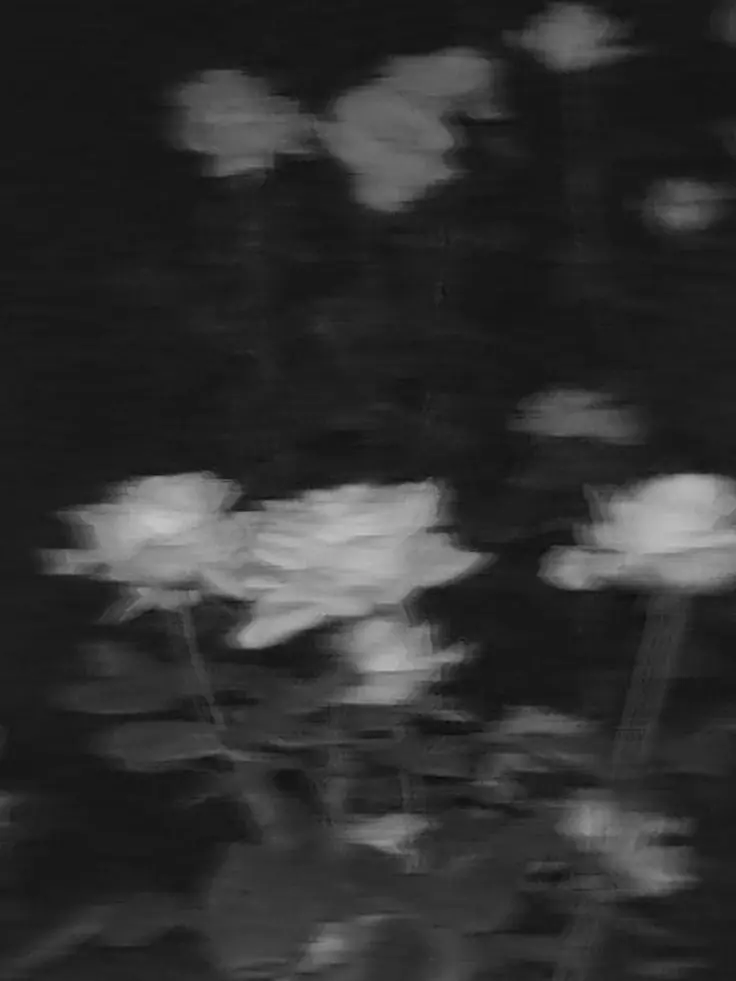 plant___0x0의 ホストNo.1にガチ惚れされました