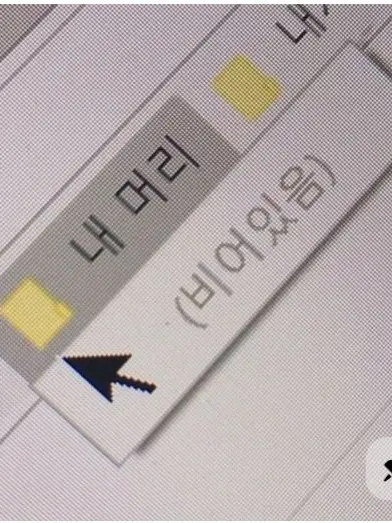 TealCry8356의 오비스트들