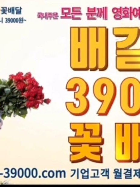 베르길리우스에 꼬@아원 대표 이미지