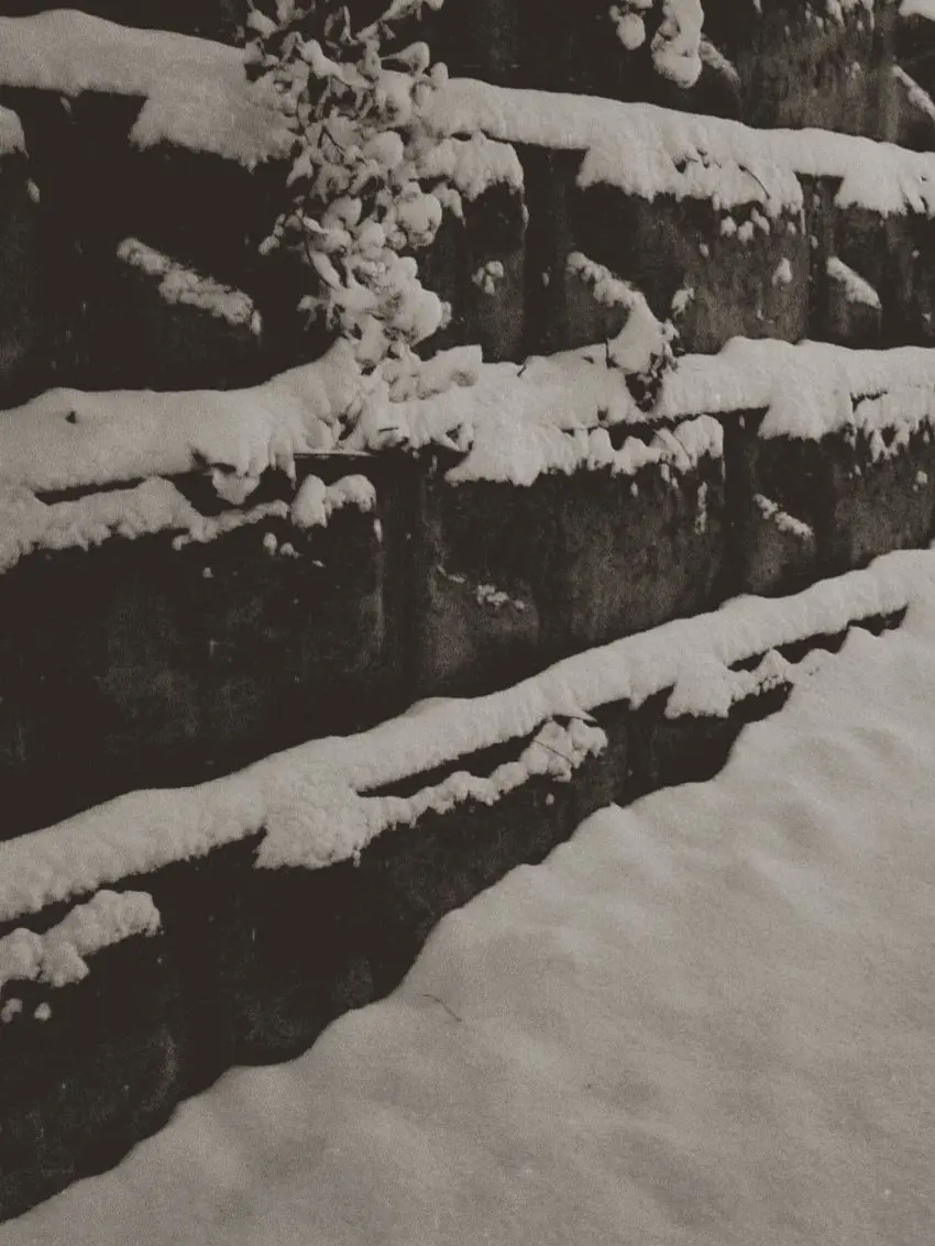 PettyDoor3802의 Михаил Иванович.