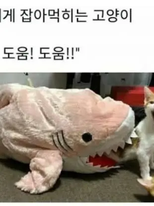 SalmonPound6471의 이타도리 유지(개인용…)