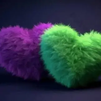 CostlyShirt1409의 2人の関係