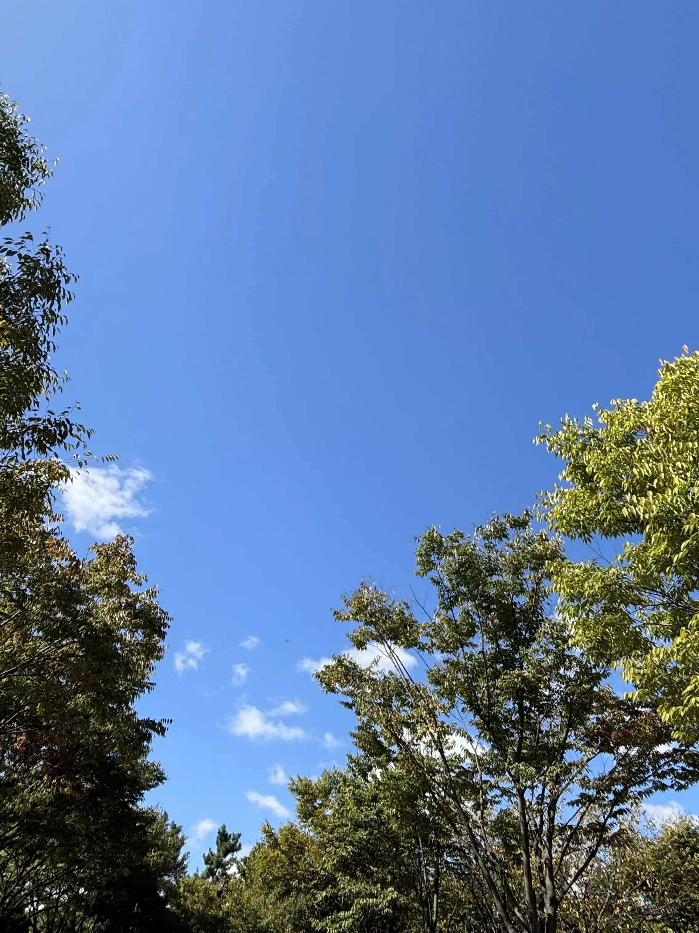 ScenicShack0446의 자기야, 누가 더 좋아?