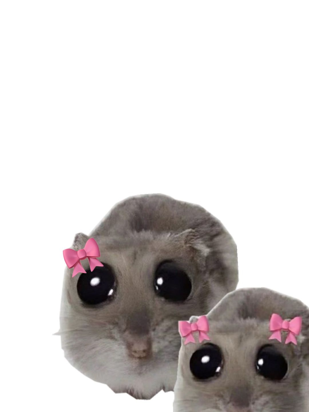 반존대가 왜 그따구야..? 대표 이미지