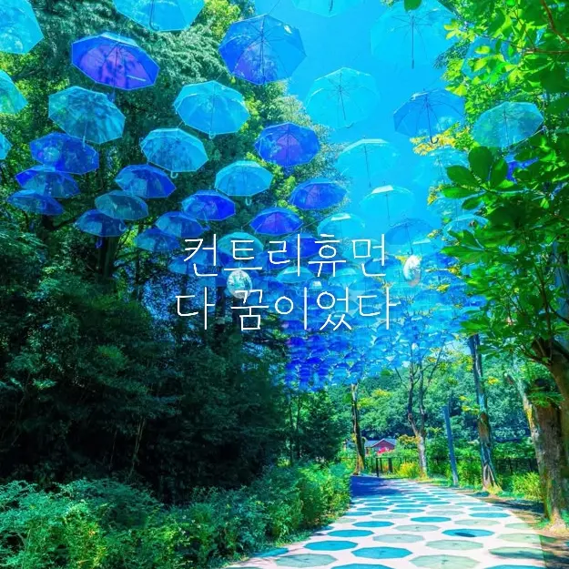 hundred의 다 꿈이었다