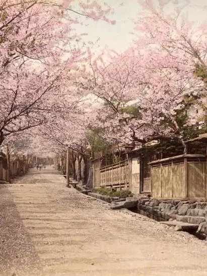 ichigokirai의 大正浪漫