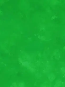 WickedRadio5596의 違国日記