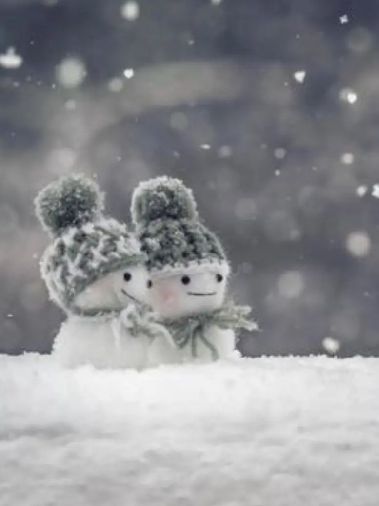 CustomBell8771의 今日は肌寒いね！