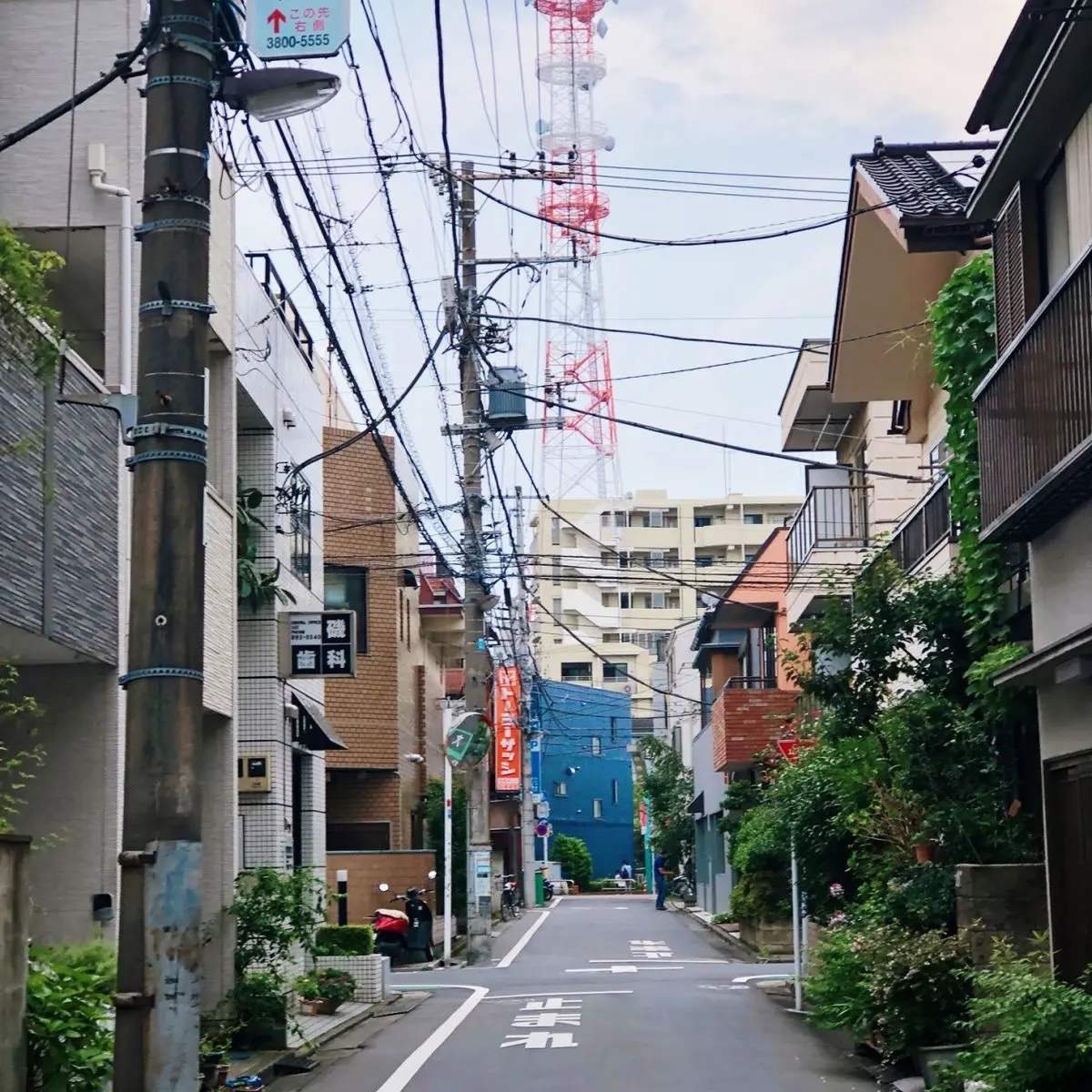 yogmang의 후시구로 家