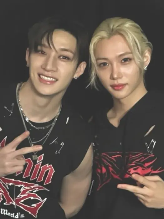 AgileLily4154의 BangChan