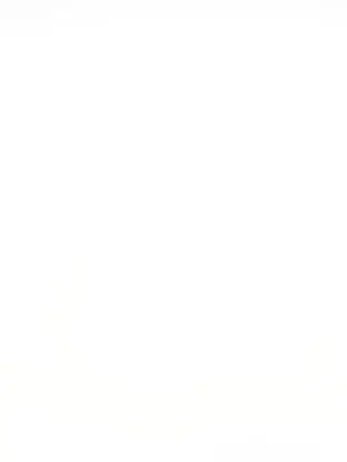 FeebleBall1386의 오시온