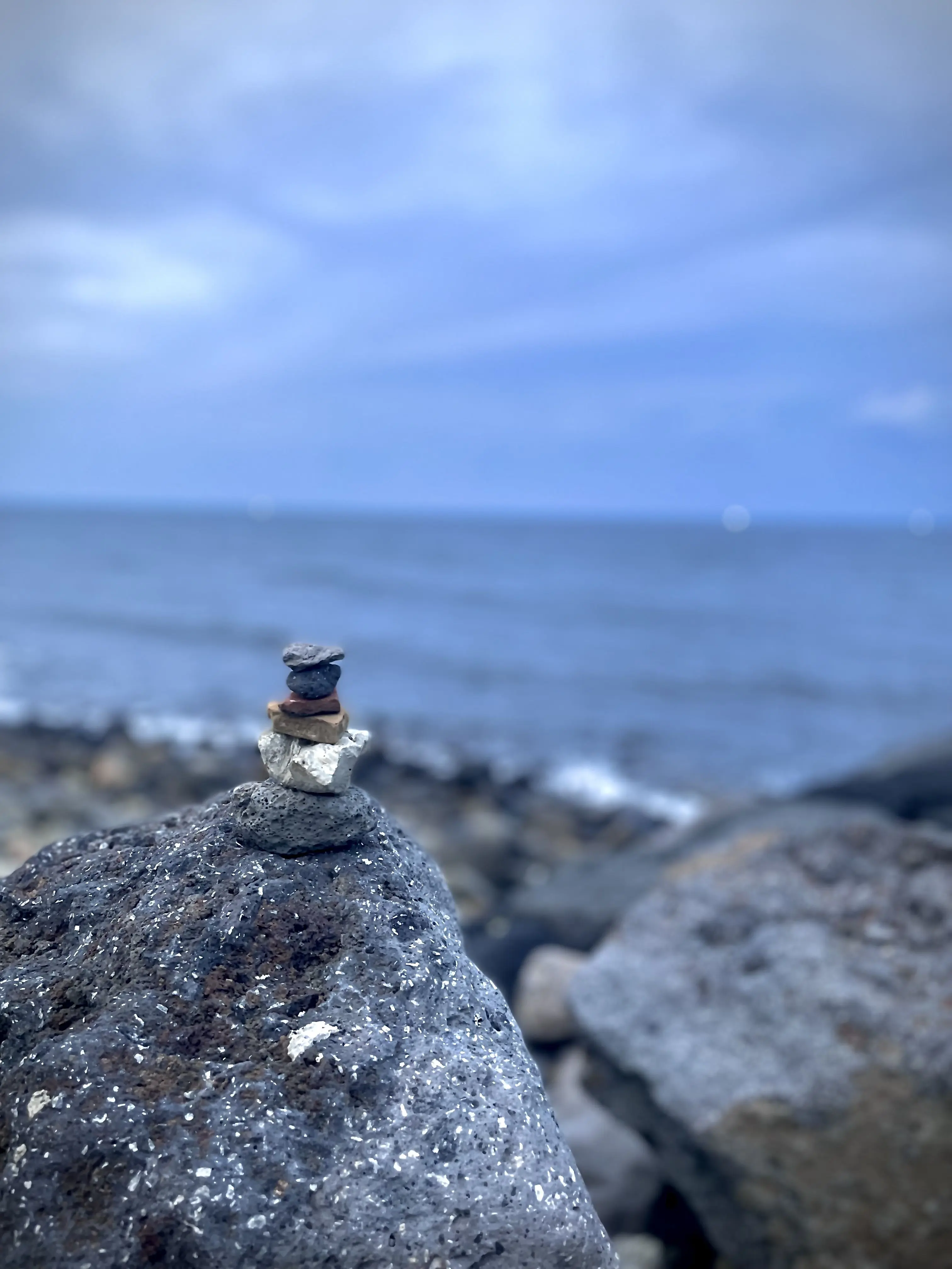 PlacidDiet7206의 최주빈[=오메가=임신…