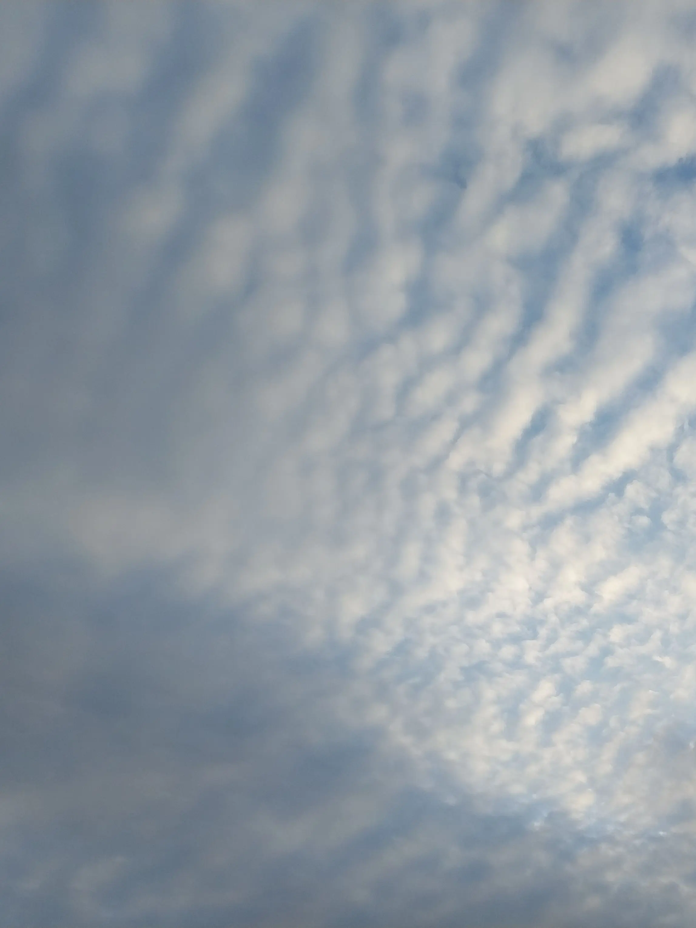 GoldenHooks2538의 틈새 시간