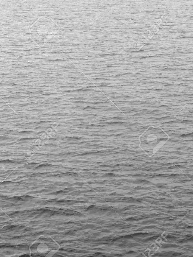 Hlcv의 수인 세상에서 나만 사람이라니?